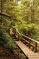 Pacific Rim Nationalpark &ndash; &copy; Marianne Förster (Eberhardt TRAVEL)