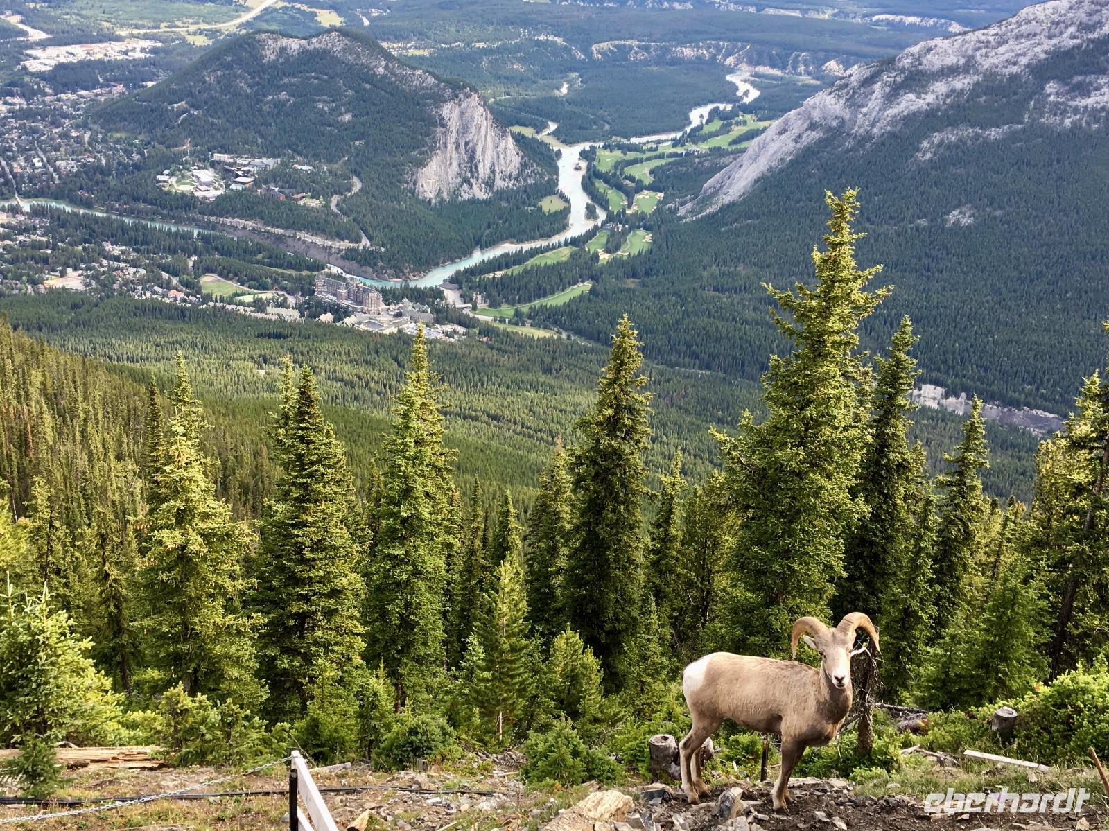 Postkarte von Banff selbstgemacht &ndash; &copy; Elisabeth Fox-Maerki (Eberhardt TRAVEL)