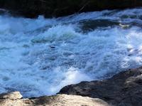 Noch ein Lachs schafft es &ndash; &copy; Elisabeth Fox-Maerki (Eberhardt TRAVEL)