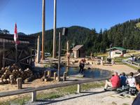 Spass bei der Holzfaellershow &ndash; &copy; Elisabeth Fox-Maerki (Eberhardt TRAVEL)