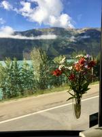 Blumen am Arbeitsplatz &ndash; &copy; Elisabeth Fox-Maerki (Eberhardt TRAVEL)