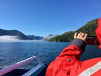 Nebel auf dem Meer &ndash; &copy; Elisabeth Fox-Maerki (Eberhardt TRAVEL)