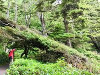 in Ucluelet &ndash; &copy; Elisabeth Fox-Maerki (Eberhardt TRAVEL)