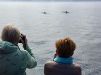 2 Buckelwale ganz nahe &ndash; &copy; Elisabeth Fox-Maerki (Eberhardt TRAVEL)