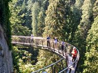 und auf den Felsensteig auch noch &ndash; &copy; Elisabeth Fox-Maerki (Eberhardt TRAVEL)