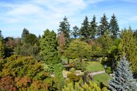 Stadtrundfahrt Vancouver - Queen Elizabeth Park &ndash; &copy; Andreas Wolfsteller (Eberhardt TRAVEL)
