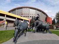 Calgary - Saddledome Stadion &ndash; &copy; Katja Neumann (Eberhardt TRAVEL)