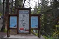 Johnston Canyon &ndash; &copy; Katja Neumann (Eberhardt TRAVEL)