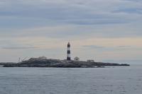 Wal Beobachtung3 &ndash; &copy; Laura Wonneberger (Eberhardt TRAVEL)