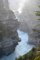 Athabasca Falls (5) &ndash; &copy; Laura Wonneberger (Eberhardt TRAVEL)