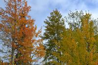 Barrier Lake (3) &ndash; &copy; Laura Wonneberger (Eberhardt TRAVEL)