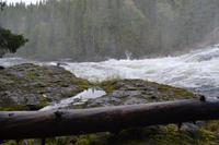 Dawson Falls (1) &ndash; &copy; Laura Wonneberger (Eberhardt TRAVEL)