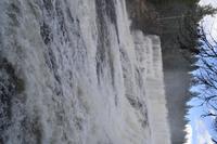 Dawson Falls (6)