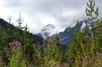 Provincial Park (6) &ndash; &copy; Laura Wonneberger (Eberhardt TRAVEL)