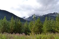 Provincial Park (11) &ndash; &copy; Laura Wonneberger (Eberhardt TRAVEL)
