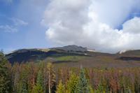 Rocky Mountains (42) &ndash; &copy; Laura Wonneberger (Eberhardt TRAVEL)
