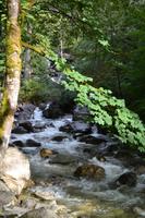 Shannon Falls (3) &ndash; &copy; Laura Wonneberger (Eberhardt TRAVEL)