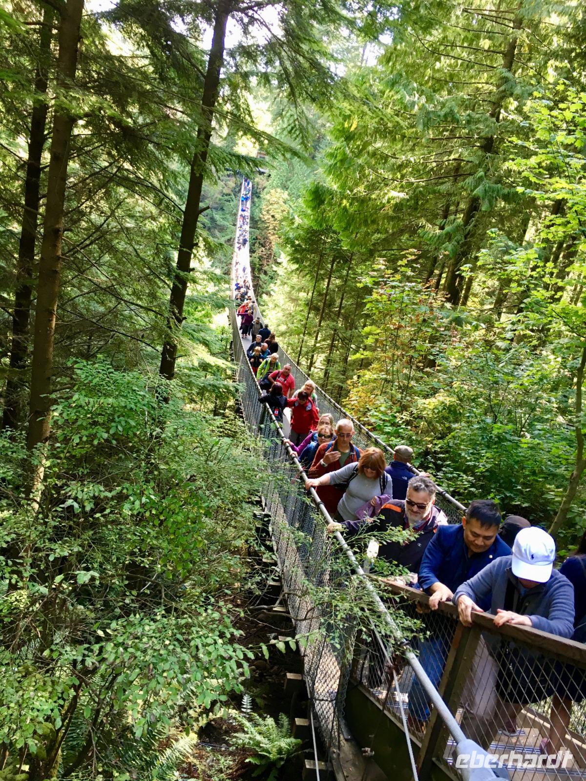 Die Haengebruecke &ndash; &copy; Elisabeth Fox-Maerki (Eberhardt TRAVEL)