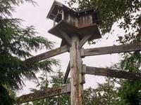das Vogelhaeuschen  &ndash; &copy; Elisabeth Fox-Maerki (Eberhardt TRAVEL)