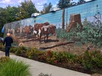 in Chemainus &ndash; &copy; Elisabeth Fox-Maerki (Eberhardt TRAVEL)