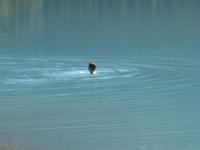 Kinney Lake - Christian bei baden &ndash; &copy; Ralf Kuchenbecker (Eberhardt TRAVEL)