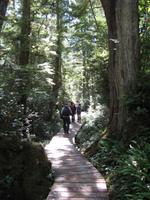 Maquinna Provicial Park &ndash; &copy; Ralf Kuchenbecker (Eberhardt TRAVEL)