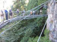 Vancouver - Capilano Cliffwalk &ndash; &copy; Ralf Kuchenbecker (Eberhardt TRAVEL)