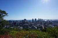020 Mont Royal &ndash; &copy; Stefanie Schneider (Eberhardt TRAVEL)