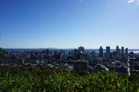 021 Mont Royal &ndash; &copy; Stefanie Schneider (Eberhardt TRAVEL)