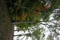 134 Chateau Montebello &ndash; &copy; Stefanie Schneider (Eberhardt TRAVEL)