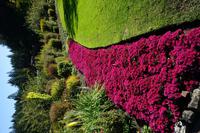 429 Butchart Gardens &ndash; &copy; Stefanie Schneider (Eberhardt TRAVEL)