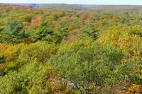 Tag 4 – Algonquinpark, Alter Feuerturm  (4) &ndash; &copy; Alexander Zachow (Eberhardt TRAVEL)