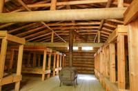 Tag 5 – Algonquinpark, Logging Trail (10) &ndash; &copy; Alexander Zachow (Eberhardt TRAVEL)