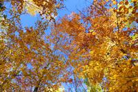 Tag 5 – Algonquinpark, VisitorCenter (2) &ndash; &copy; Alexander Zachow (Eberhardt TRAVEL)