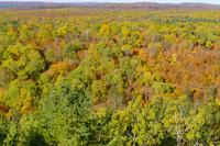 Tag 5 – Algonquinpark, VisitorCenter (8) &ndash; &copy; Alexander Zachow (Eberhardt TRAVEL)