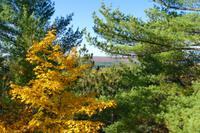 Tag 5 – Algonquinpark, VisitorCenter (12) &ndash; &copy; Alexander Zachow (Eberhardt TRAVEL)