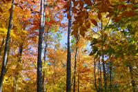 Tag 5 – Algonquinpark, VisitorCenter (15) &ndash; &copy; Alexander Zachow (Eberhardt TRAVEL)