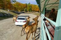 Tag 6 – Besuch Omega-Wildlife-Park (4) &ndash; &copy; Alexander Zachow (Eberhardt TRAVEL)