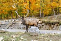 Tag 6 – Besuch Omega-Wildlife-Park (6) &ndash; &copy; Alexander Zachow (Eberhardt TRAVEL)