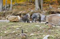Tag 6 – Besuch Omega-Wildlife-Park (7) &ndash; &copy; Alexander Zachow (Eberhardt TRAVEL)