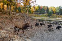Tag 6 – Besuch Omega-Wildlife-Park (9) &ndash; &copy; Alexander Zachow (Eberhardt TRAVEL)