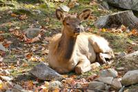 Tag 6 – Besuch Omega-Wildlife-Park (10) &ndash; &copy; Alexander Zachow (Eberhardt TRAVEL)