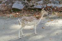 Tag 6 – Besuch Omega-Wildlife-Park (14) &ndash; &copy; Alexander Zachow (Eberhardt TRAVEL)