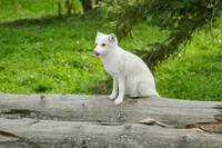 Tag 6 – Besuch Omega-Wildlife-Park (21) &ndash; &copy; Alexander Zachow (Eberhardt TRAVEL)
