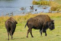 Tag 6 – Besuch Omega-Wildlife-Park (22) &ndash; &copy; Alexander Zachow (Eberhardt TRAVEL)