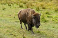 Tag 6 – Besuch Omega-Wildlife-Park (23) &ndash; &copy; Alexander Zachow (Eberhardt TRAVEL)