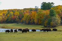 Tag 6 – Besuch Omega-Wildlife-Park (26) &ndash; &copy; Alexander Zachow (Eberhardt TRAVEL)