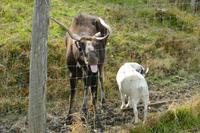 Tag 6 – Besuch Omega-Wildlife-Park (27) &ndash; &copy; Alexander Zachow (Eberhardt TRAVEL)
