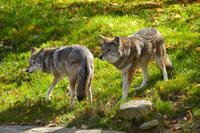 Tag 6 – Besuch Omega-Wildlife-Park (33) &ndash; &copy; Alexander Zachow (Eberhardt TRAVEL)