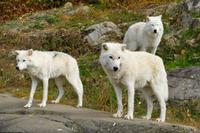 Tag 6 – Besuch Omega-Wildlife-Park (36) &ndash; &copy; Alexander Zachow (Eberhardt TRAVEL)